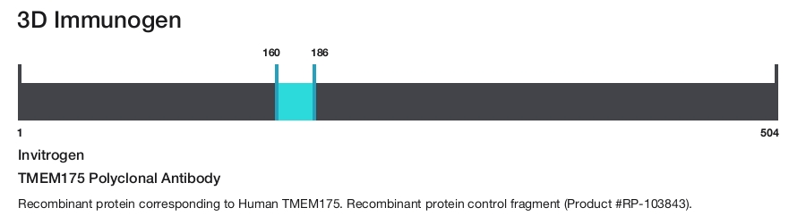 TMEM175 Polyclonal Antibody