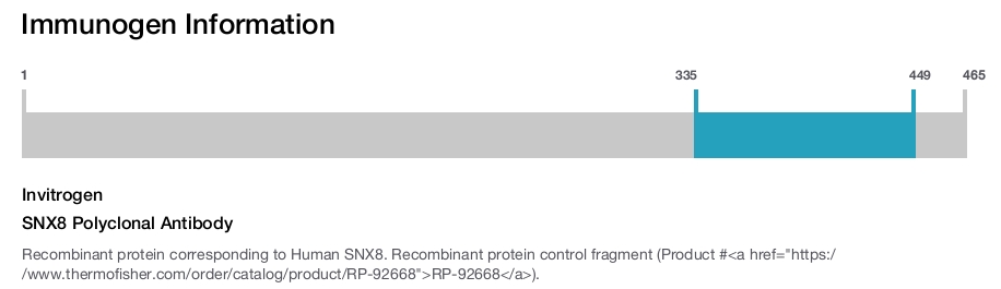 SNX8 Polyclonal Antibody