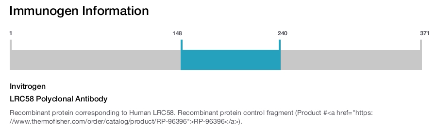 LRC58 Polyclonal Antibody