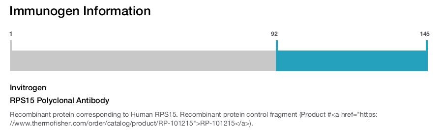 RPS15 Polyclonal Antibody