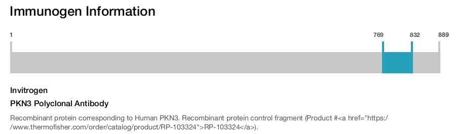 PKN3 Polyclonal Antibody