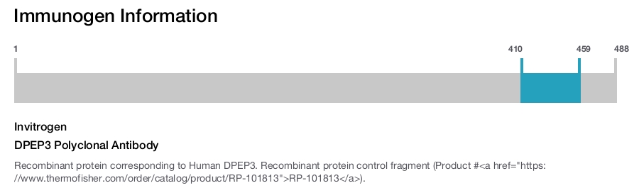 DPEP3 Polyclonal Antibody