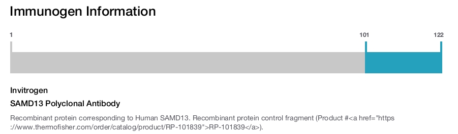 SAMD13 Polyclonal Antibody