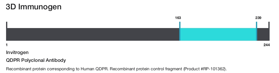 QDPR Polyclonal Antibody