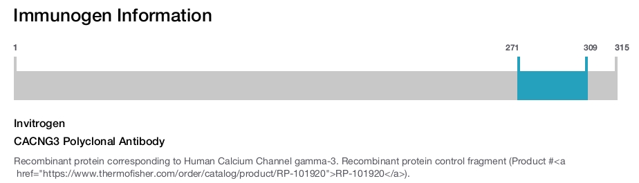 CACNG3 Polyclonal Antibody