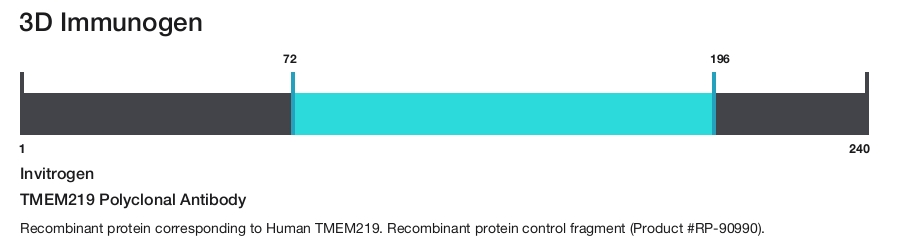 TMEM219 Polyclonal Antibody