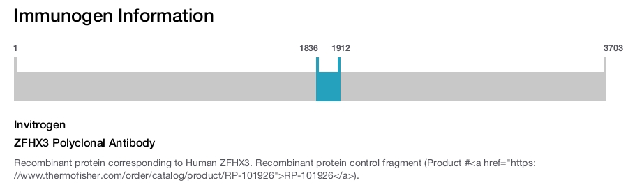 ZFHX3 Polyclonal Antibody