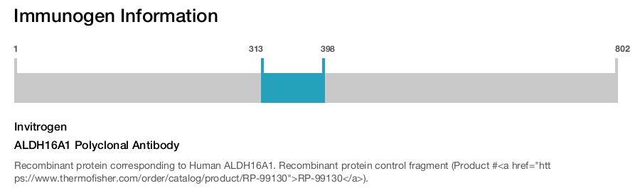 ALDH16A1 Polyclonal Antibody