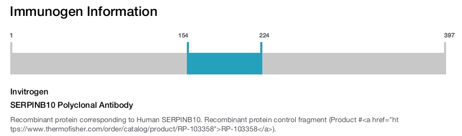 SERPINB10 Polyclonal Antibody