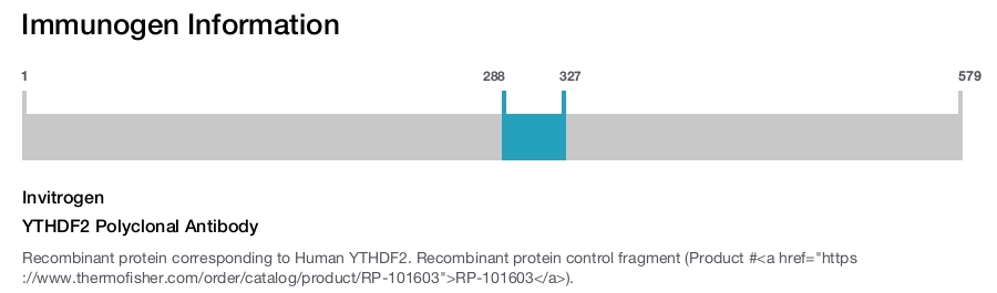 YTHDF2 Polyclonal Antibody
