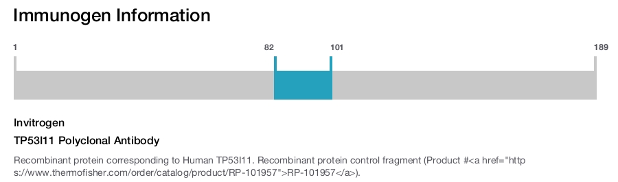 TP53I11 Polyclonal Antibody