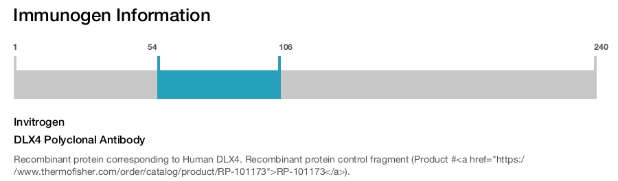 DLX4 Polyclonal Antibody