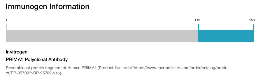PRIMA1 Polyclonal Antibody