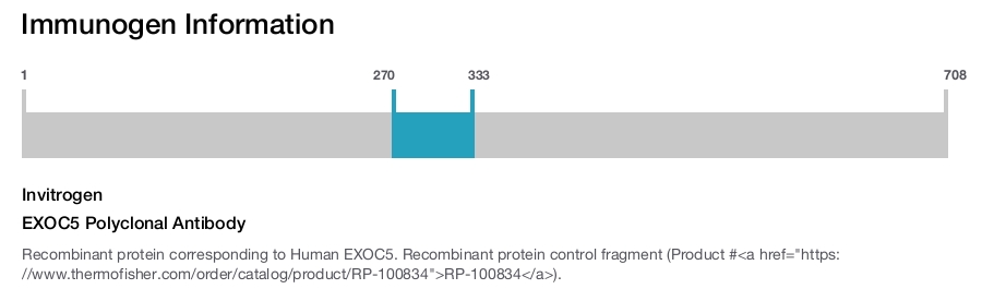 EXOC5 Polyclonal Antibody