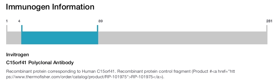 C15orf41 Polyclonal Antibody