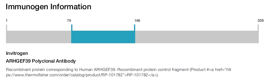 ARHGEF39 Polyclonal Antibody