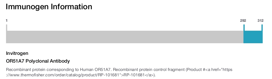 OR51A7 Polyclonal Antibody