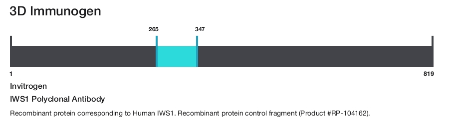 IWS1 Polyclonal Antibody