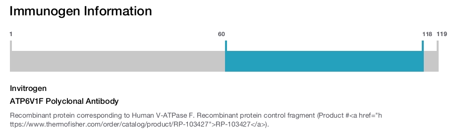 ATP6V1F Polyclonal Antibody