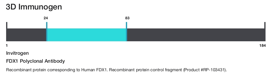 FDX1 Polyclonal Antibody