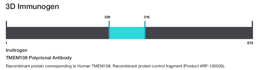 TMEM108 Polyclonal Antibody