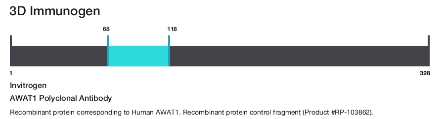 AWAT1 Polyclonal Antibody