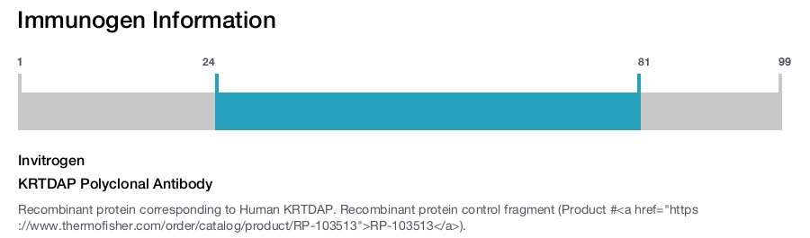 KRTDAP Polyclonal Antibody