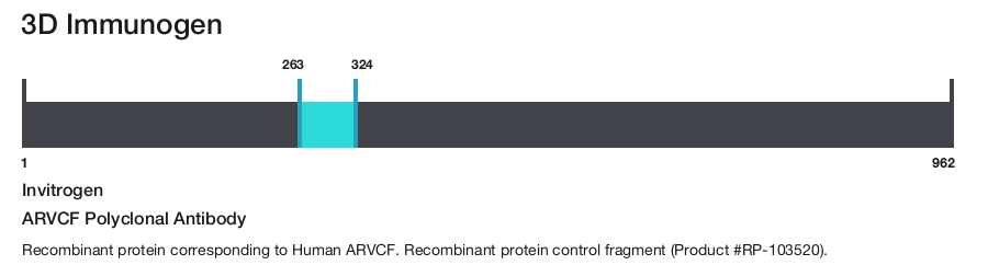ARVCF Polyclonal Antibody