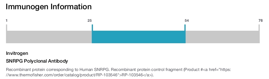 SNRPG Polyclonal Antibody