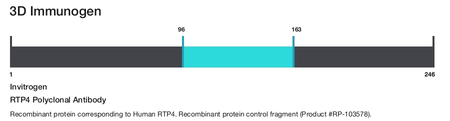RTP4 Polyclonal Antibody