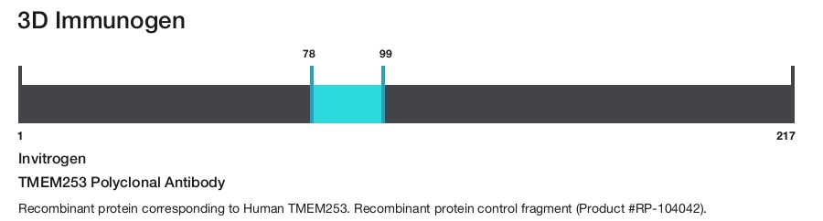 TMEM253 Polyclonal Antibody