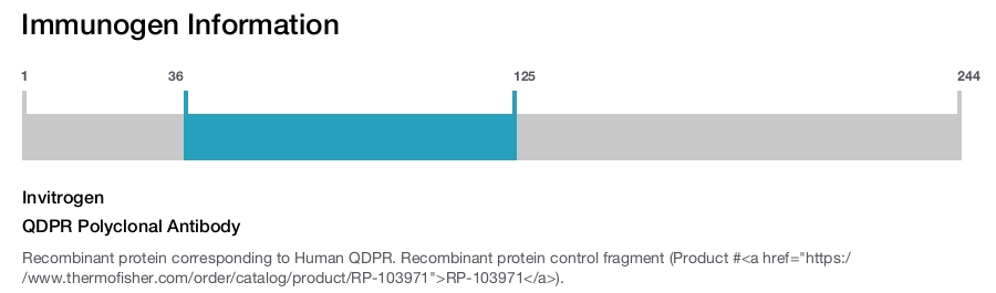 QDPR Polyclonal Antibody