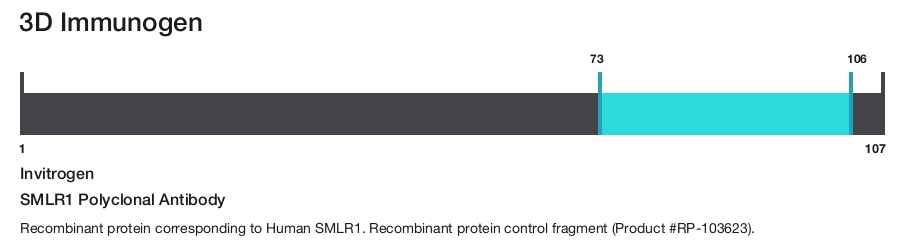 SMLR1 Polyclonal Antibody