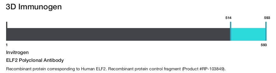ELF2 Polyclonal Antibody