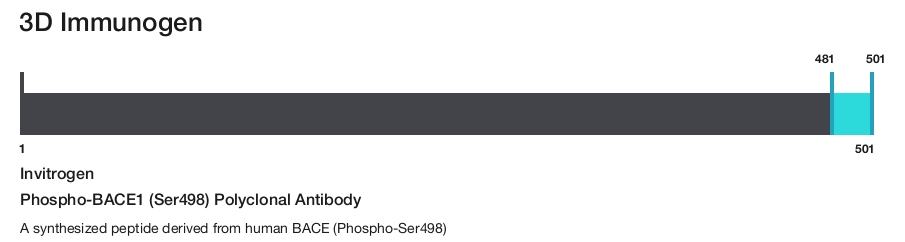 Phospho-BACE1 (Ser498) Polyclonal Antibody