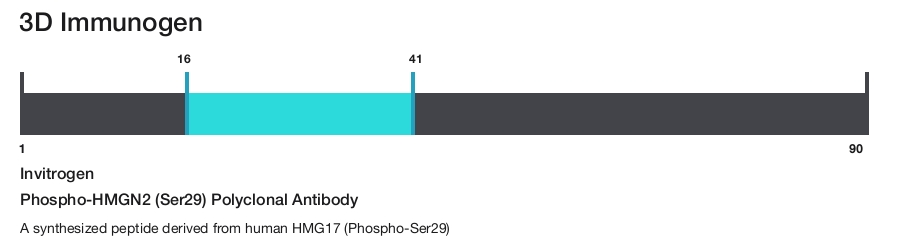 Phospho-HMGN2 (Ser29) Polyclonal Antibody