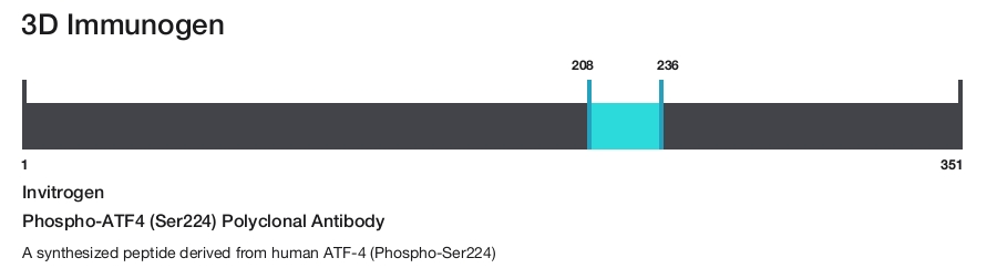 Phospho-ATF4 (Ser224) Polyclonal Antibody