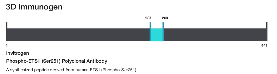 Phospho-ETS1 (Ser251) Polyclonal Antibody