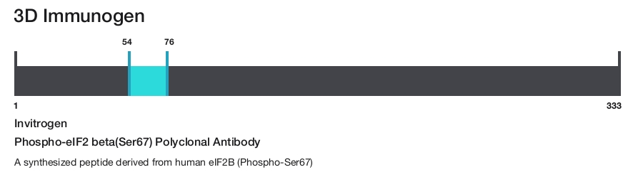 Phospho-eIF2 beta(Ser67) Polyclonal Antibody