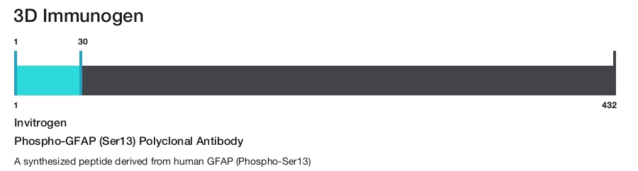 Phospho-GFAP (Ser13) Polyclonal Antibody
