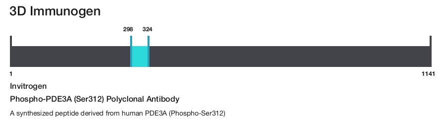 Phospho-PDE3A (Ser312) Polyclonal Antibody