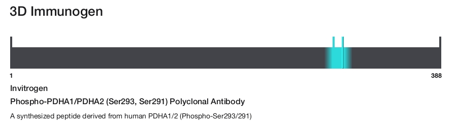 Phospho-PDHA1/PDHA2 (Ser293, Ser291) Polyclonal Antibody