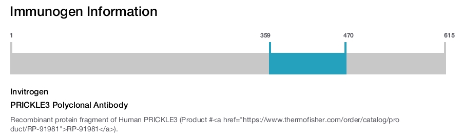 PRICKLE3 Polyclonal Antibody