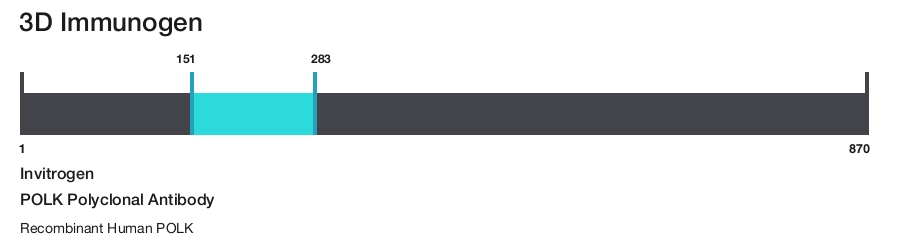 POLK Polyclonal Antibody