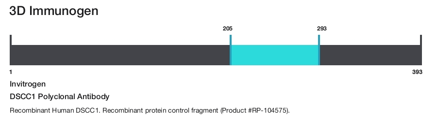 DSCC1 Polyclonal Antibody
