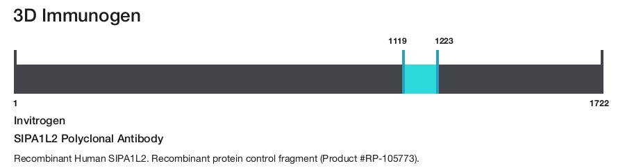 SIPA1L2 Polyclonal Antibody