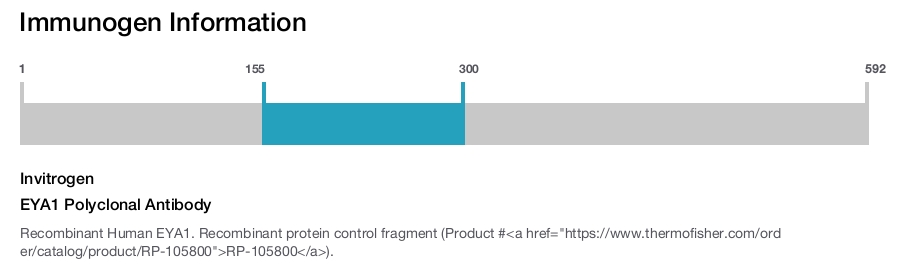EYA1 Polyclonal Antibody