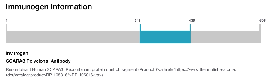 SCARA3 Polyclonal Antibody