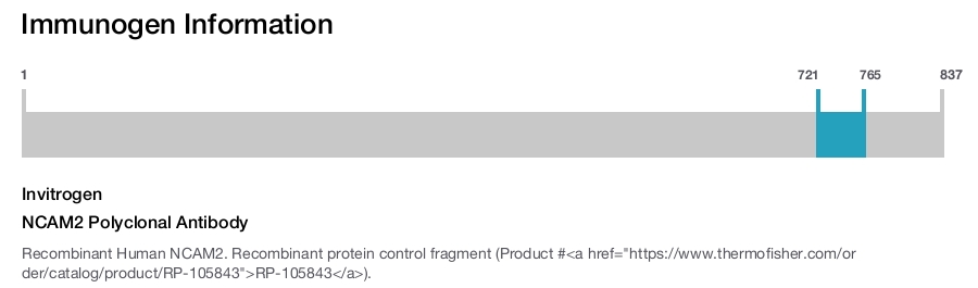 NCAM2 Polyclonal Antibody