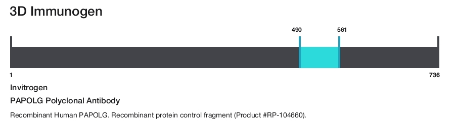 PAPOLG Polyclonal Antibody